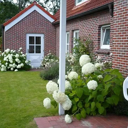 Watthuus Kiebitzhoern *