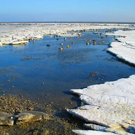 Watthuus Kiebitzhoern Σπίτι διακοπών