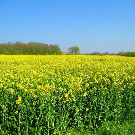 Σπίτι διακοπών Watthuus Kiebitzhoern Horumersiel