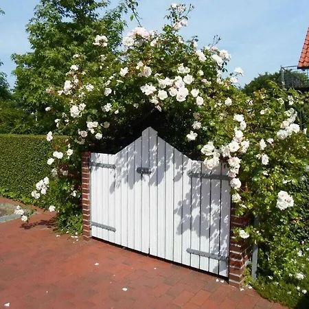 Watthuus Kiebitzhoern *