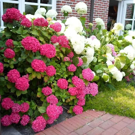 Watthuus Kiebitzhoern * Horumersiel